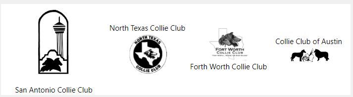 Bluebonnet Collie Cluster – Taylor Texas 2025